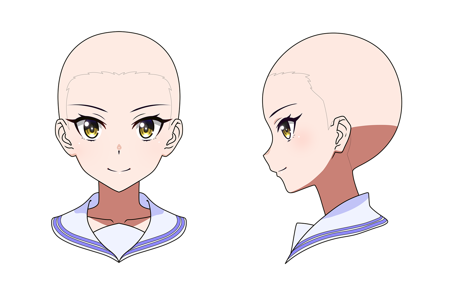 How to Draw the Head and Face – Anime-style Guideline Side View Drawing  Tutorial – Mary Li Art