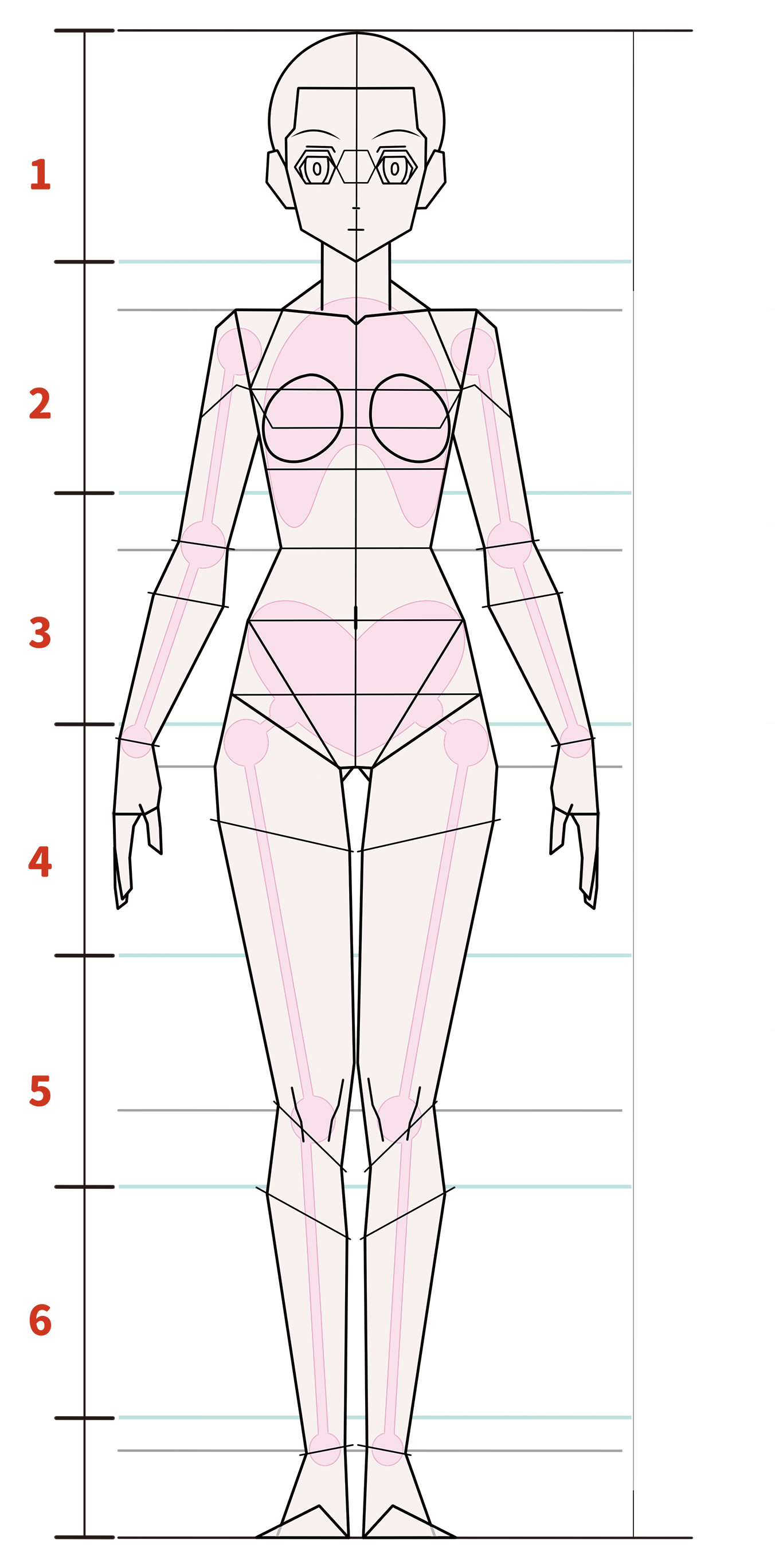 How to Draw Manga Female Body Proportions - PaintingTube